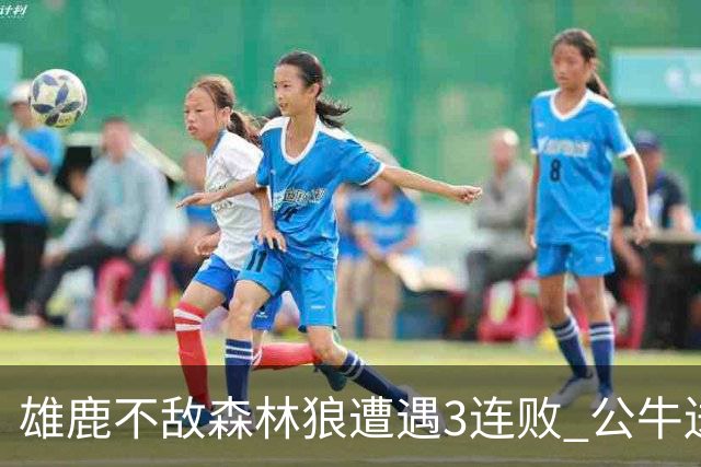 雄鹿不敌森林狼遭遇3连败 公牛送灰熊7连败
